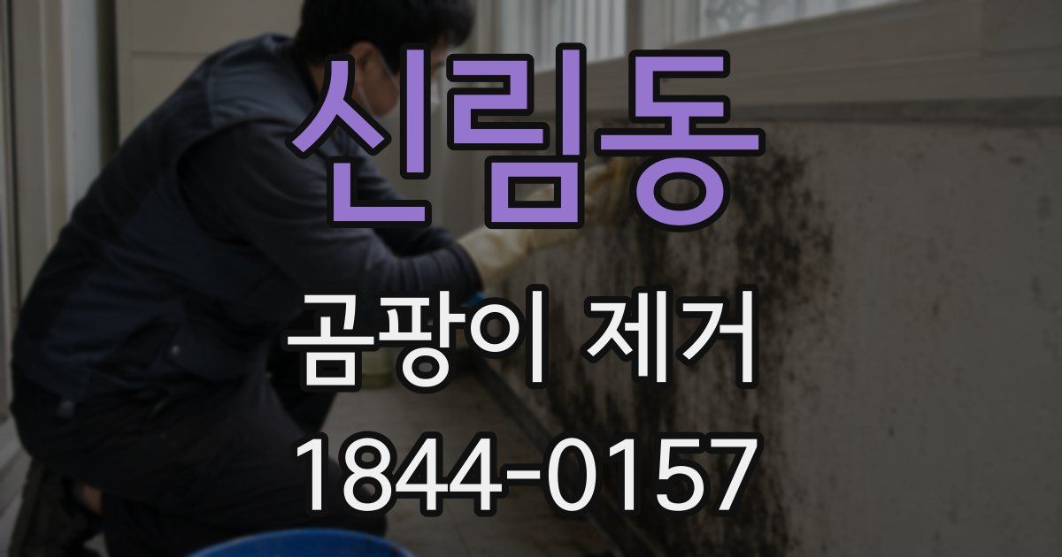 신림동 곰팡이 제거