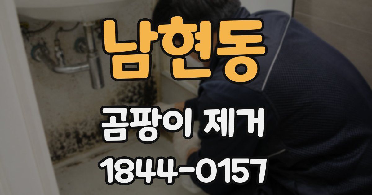 남현동 곰팡이 제거