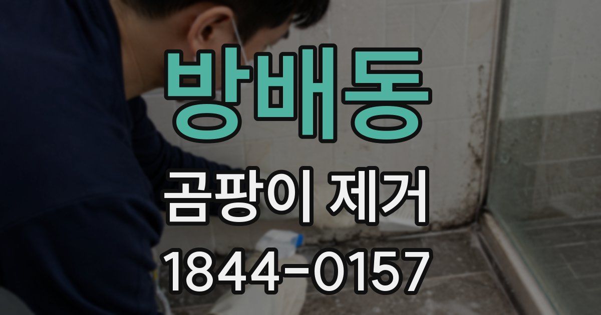 방배동 곰팡이 제거