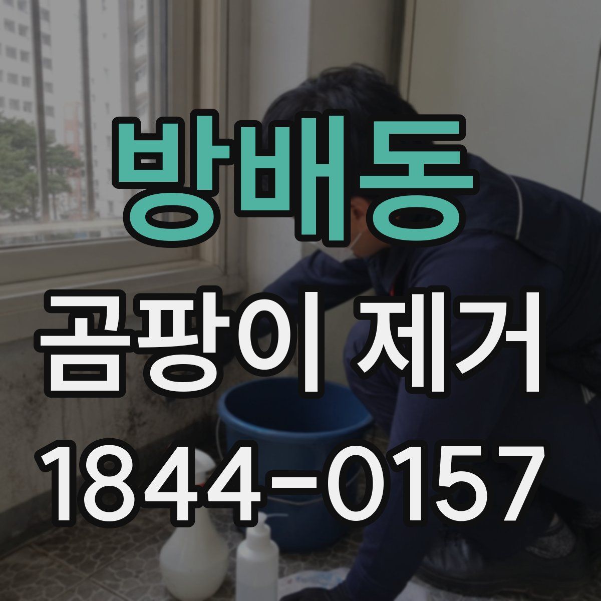 방배동 곰팡이 제거