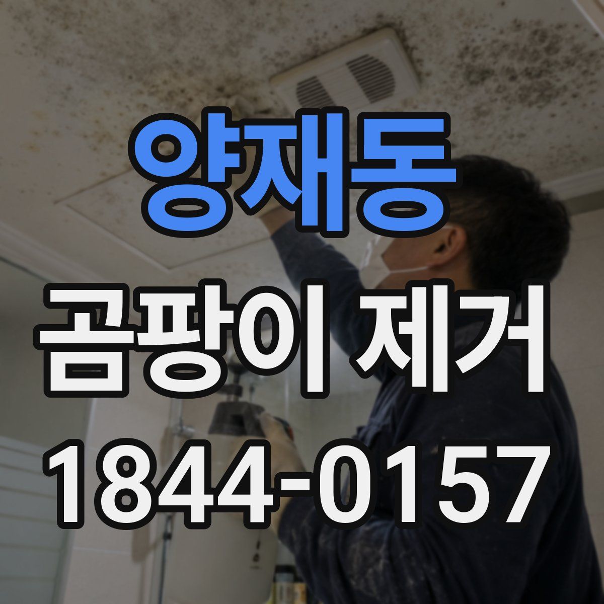 양재동 곰팡이 제거