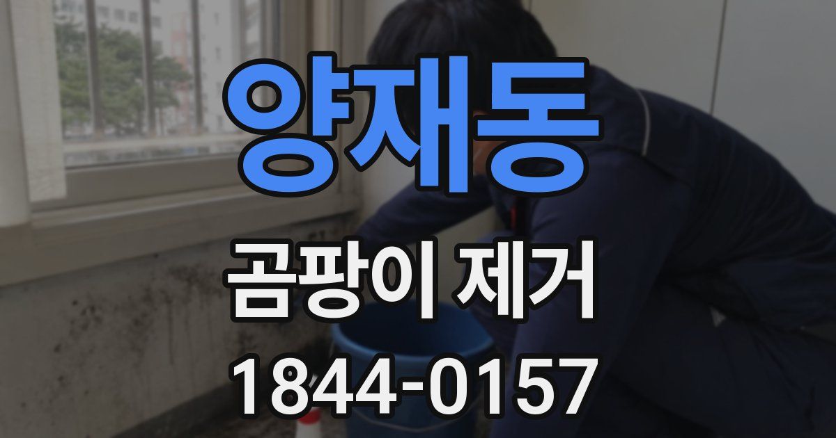 양재동 곰팡이 제거