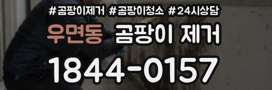 우면동 곰팡이 제거