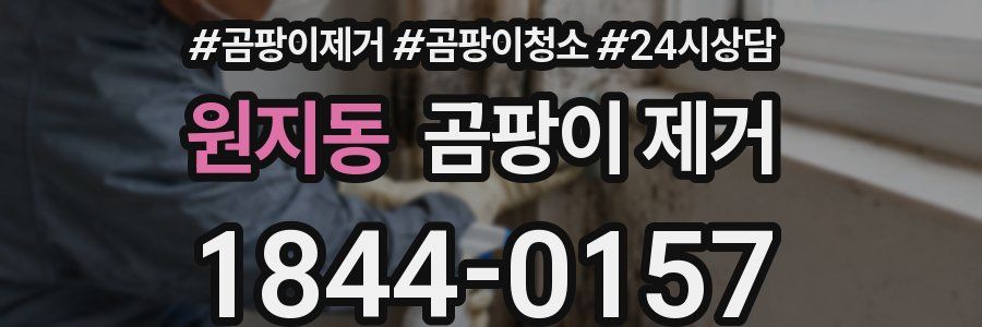원지동 곰팡이 제거