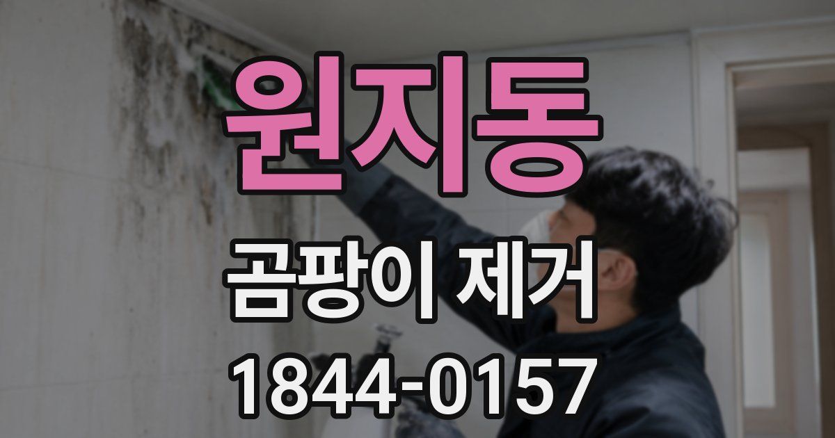 원지동 곰팡이 제거