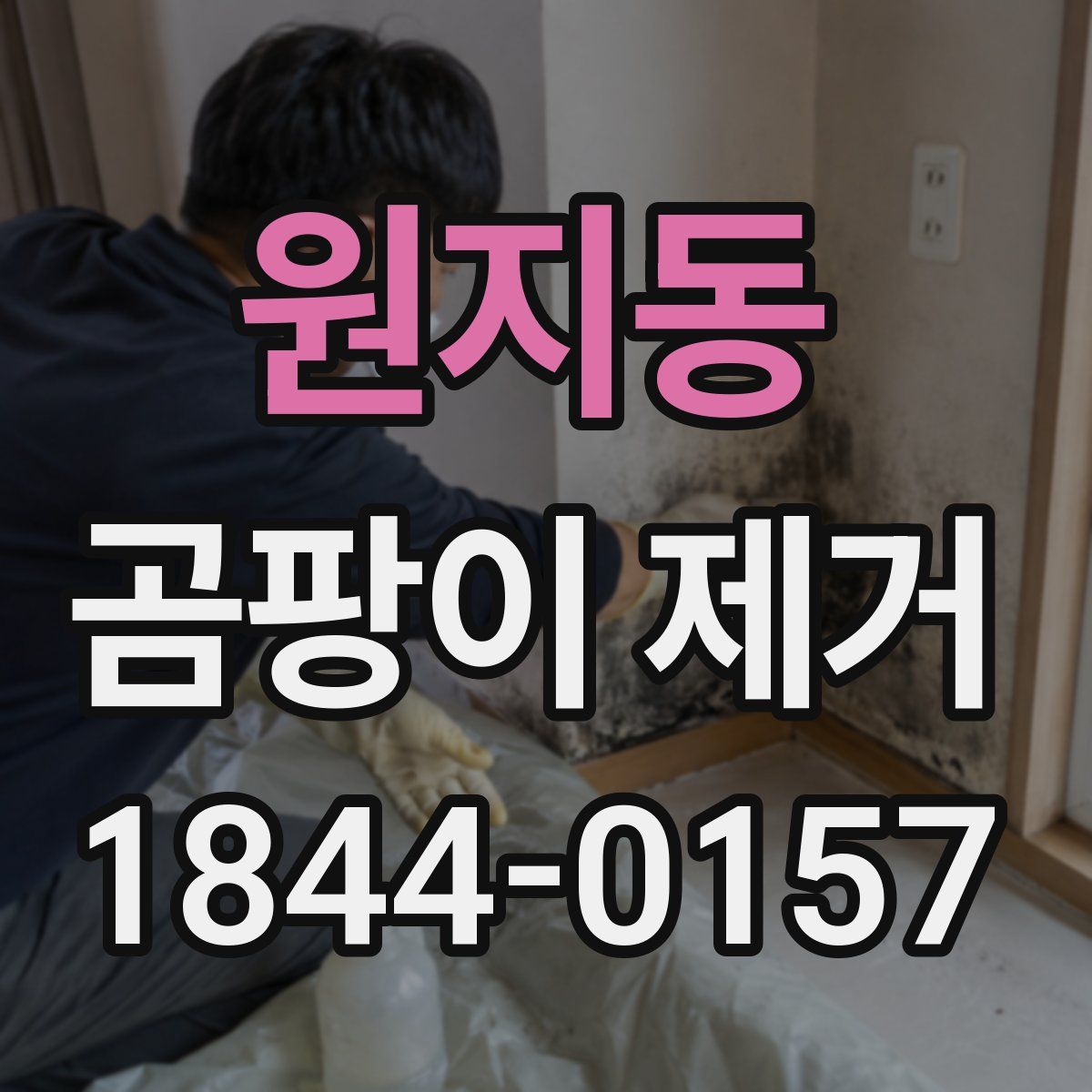 원지동 곰팡이 제거