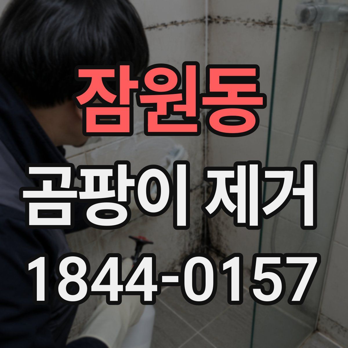 잠원동 곰팡이 제거