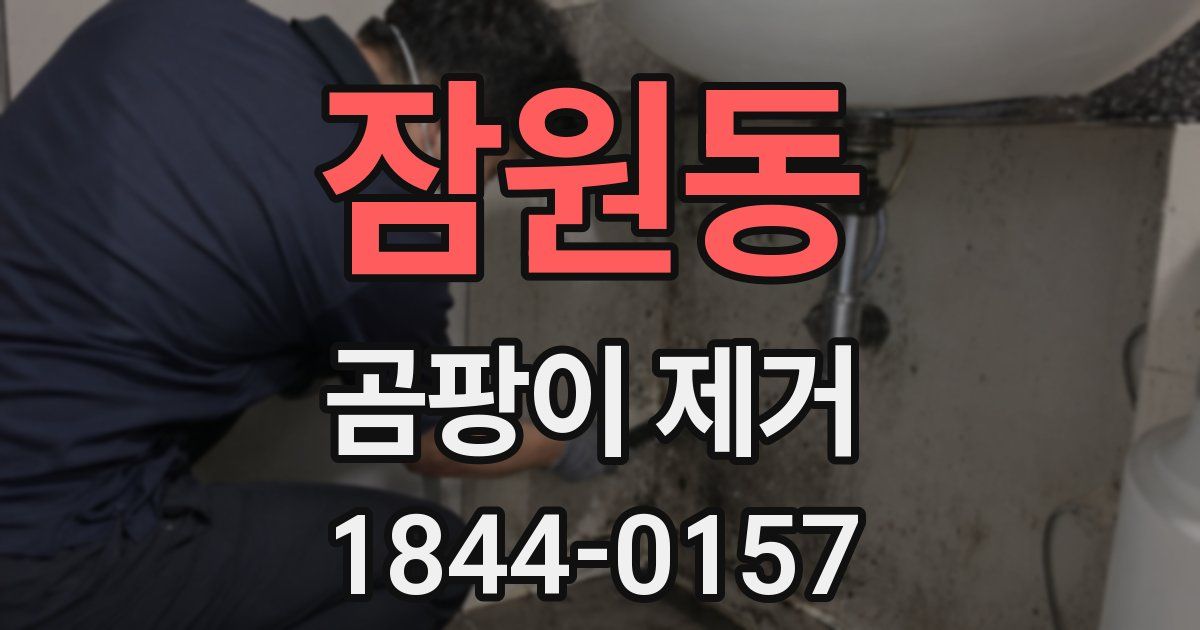 잠원동 곰팡이 제거