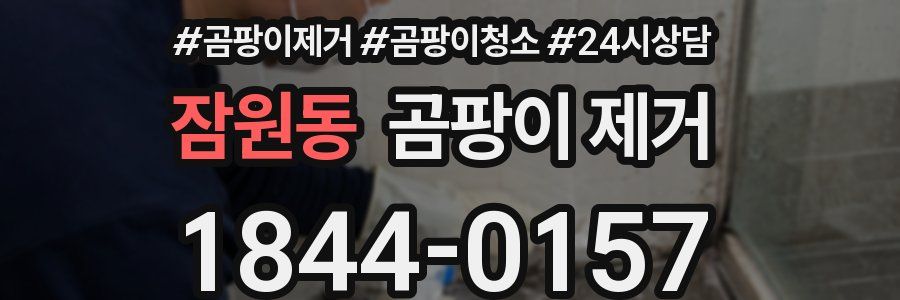 잠원동 곰팡이 제거