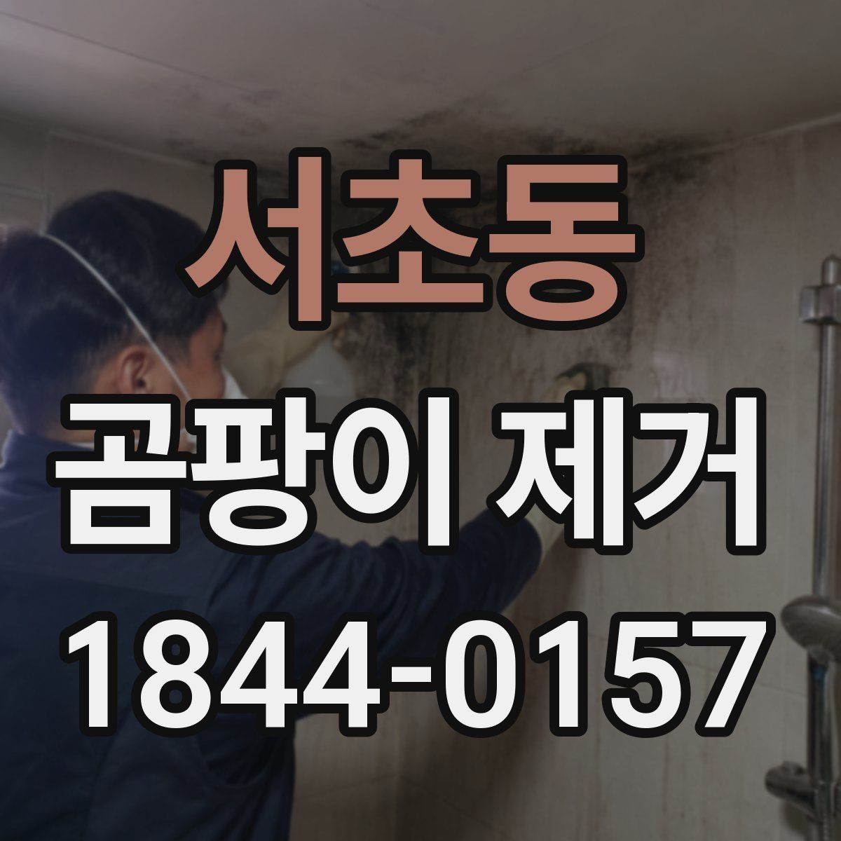 서초동 곰팡이 제거 도배 전 벽면 상태를 살피는 방법