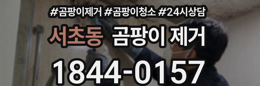 서초동 곰팡이 제거