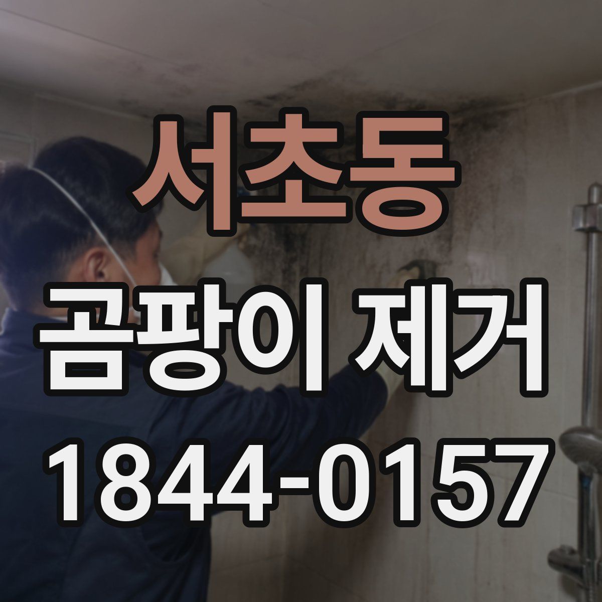 서초동 곰팡이 제거