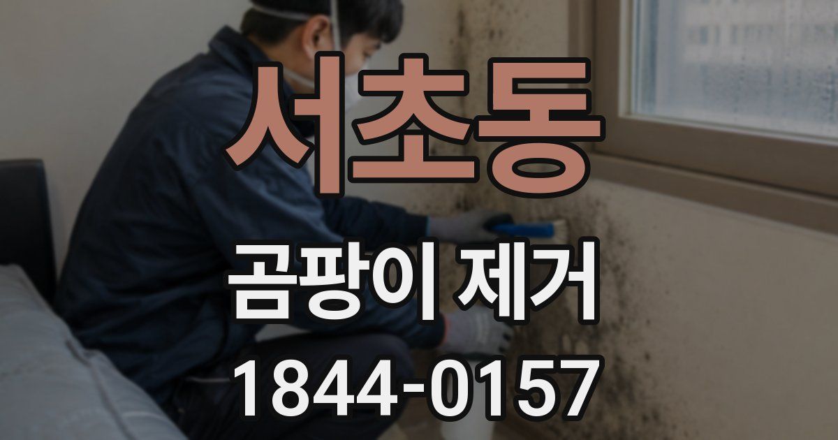 서초동 곰팡이 제거