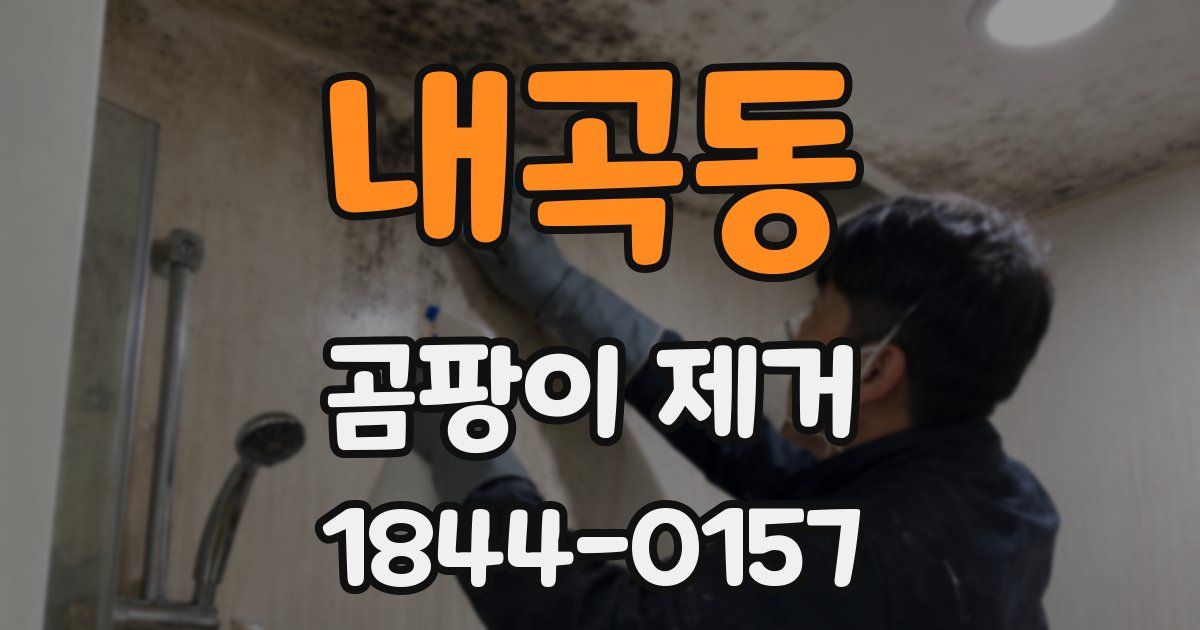 내곡동 곰팡이 제거