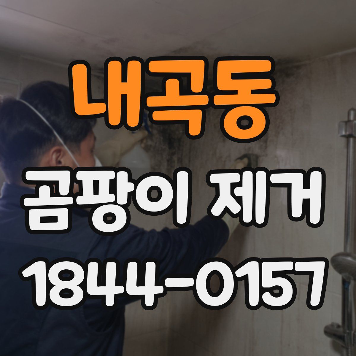 내곡동 곰팡이 제거