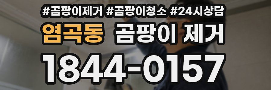 염곡동 곰팡이 제거
