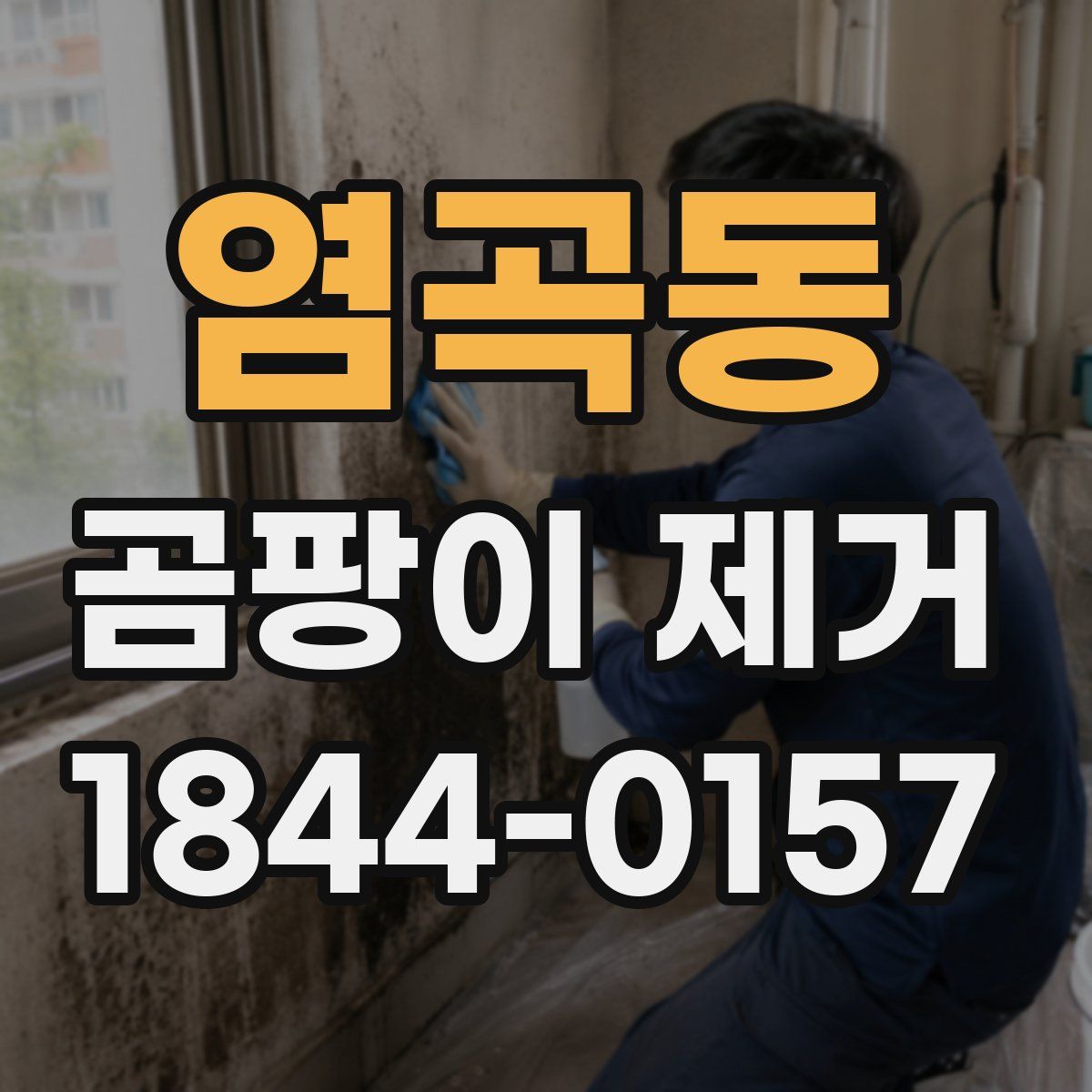 염곡동 곰팡이 제거
