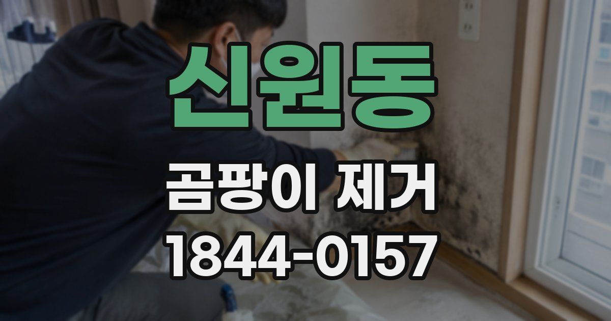 신원동 곰팡이 제거