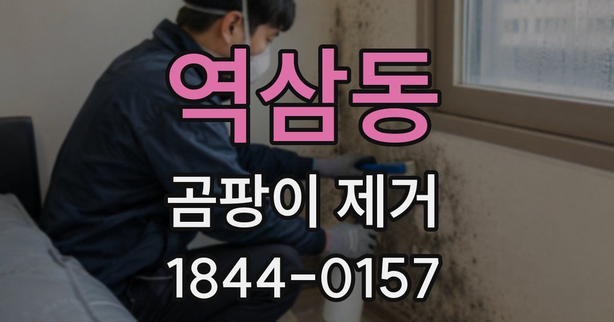 역삼동 곰팡이 제거