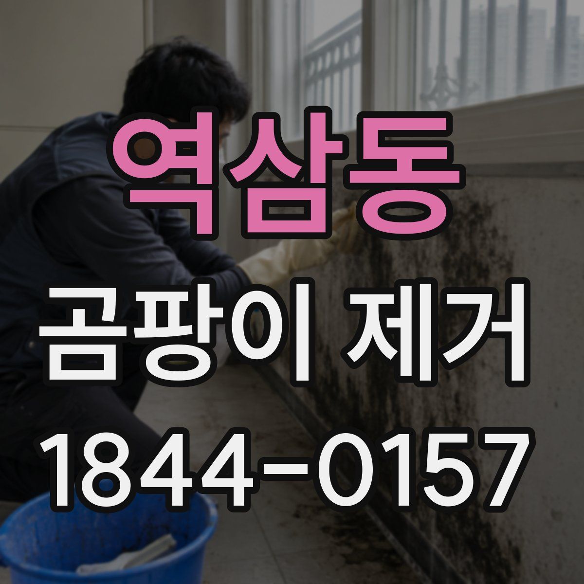 역삼동 곰팡이 제거