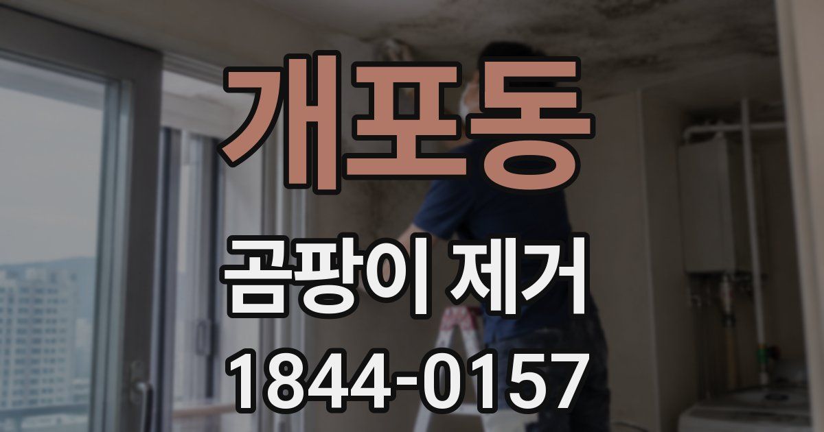 개포동 곰팡이 제거