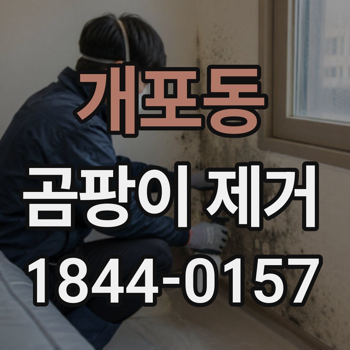 개포동 곰팡이 제거