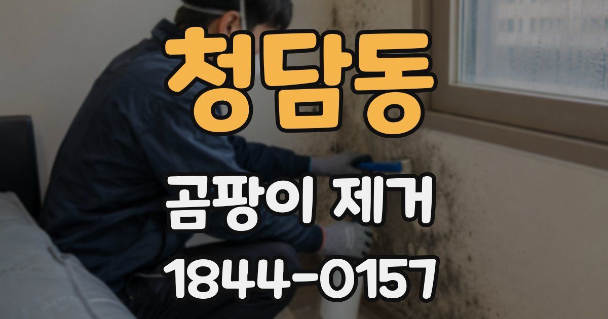 청담동 곰팡이 제거