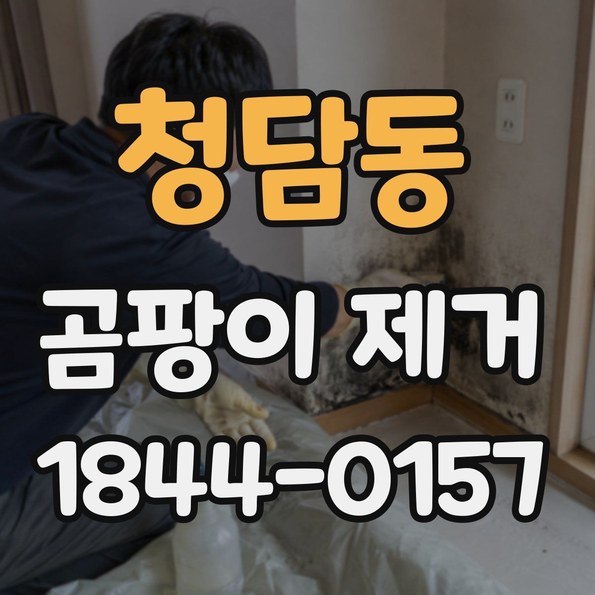 청담동 곰팡이 제거