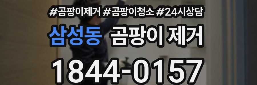 삼성동 곰팡이 제거