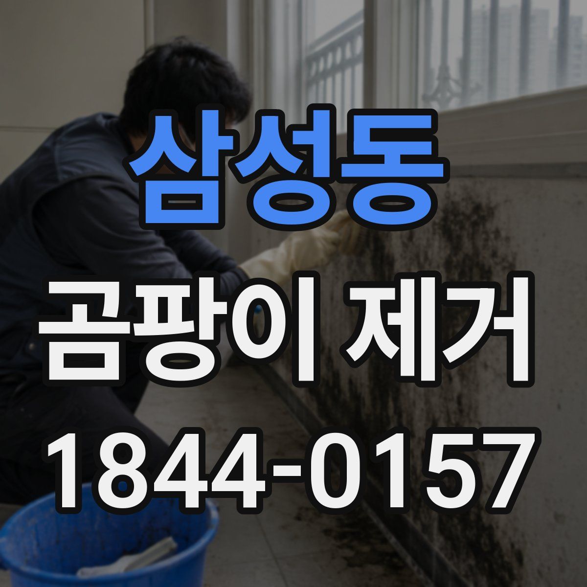 삼성동 곰팡이 제거