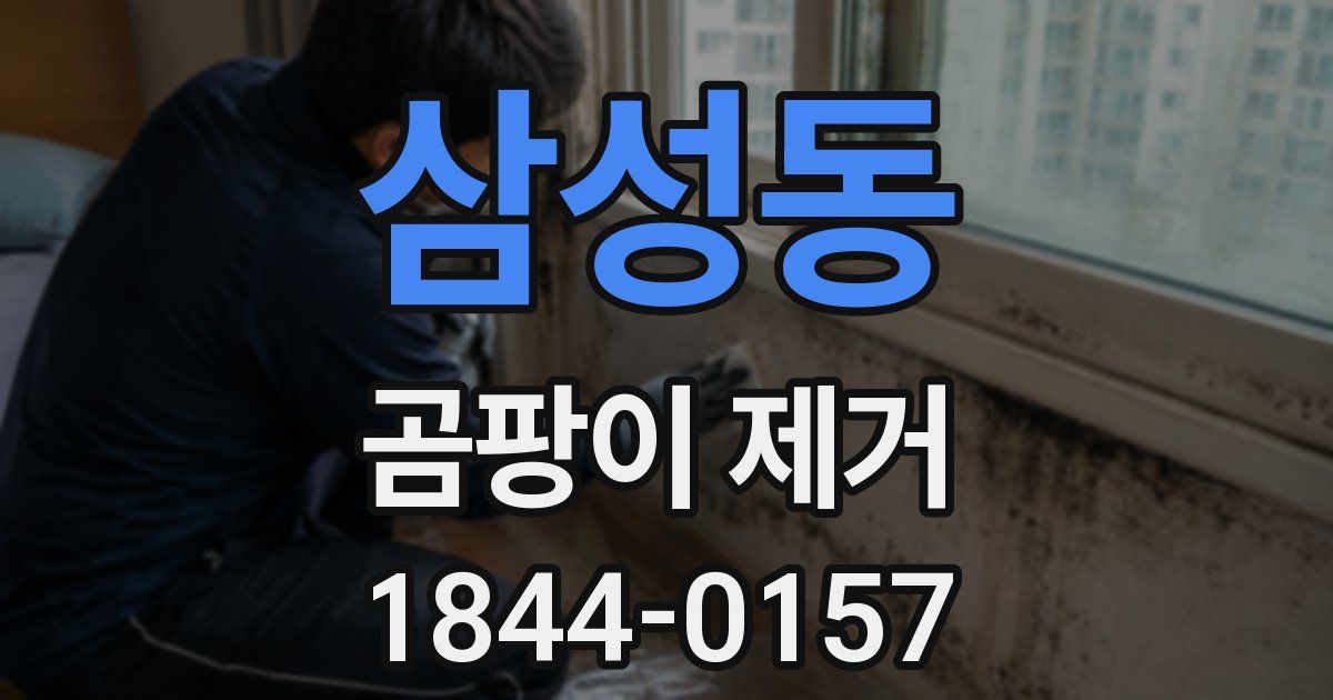 삼성동 곰팡이 제거