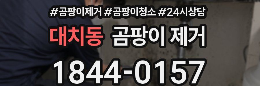 대치동 곰팡이 제거