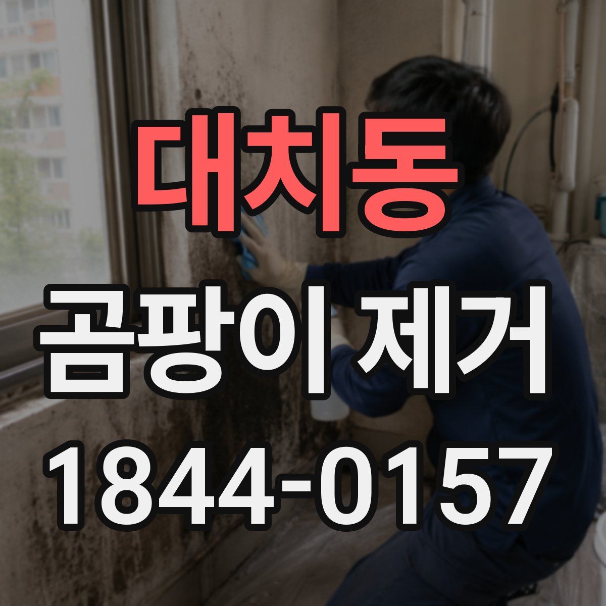 대치동 곰팡이 제거