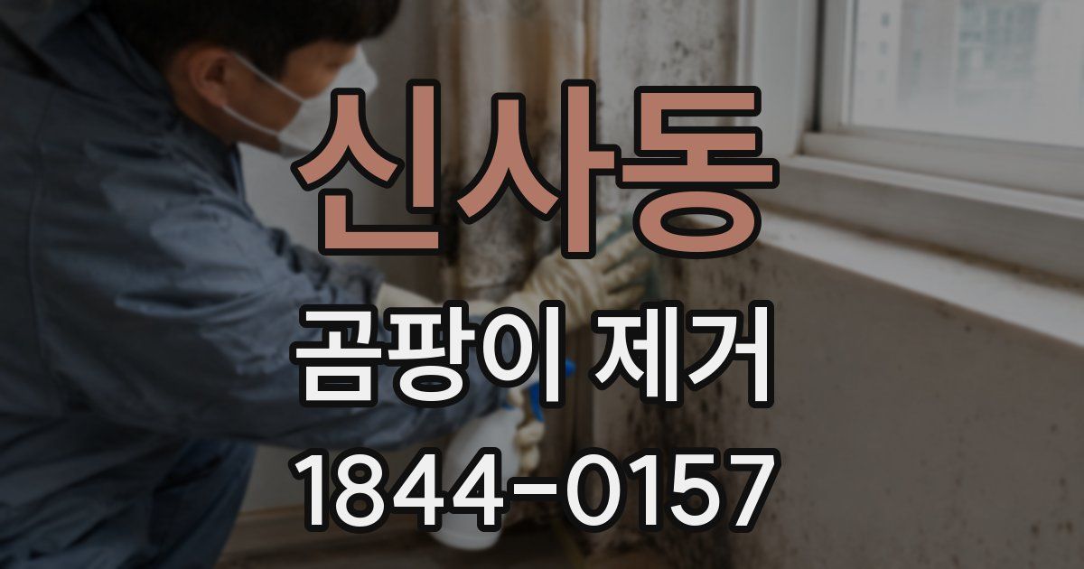 신사동 곰팡이 제거