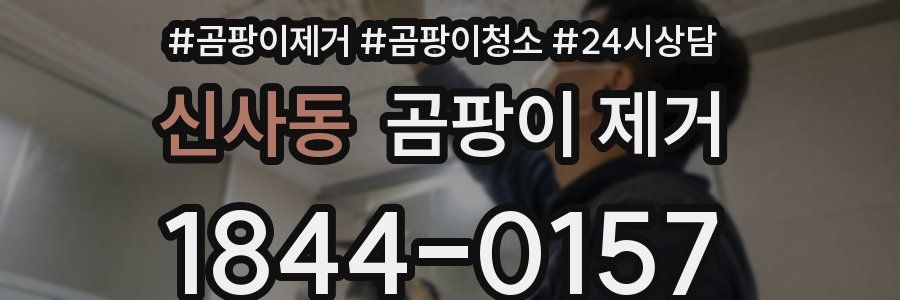 신사동 곰팡이 제거