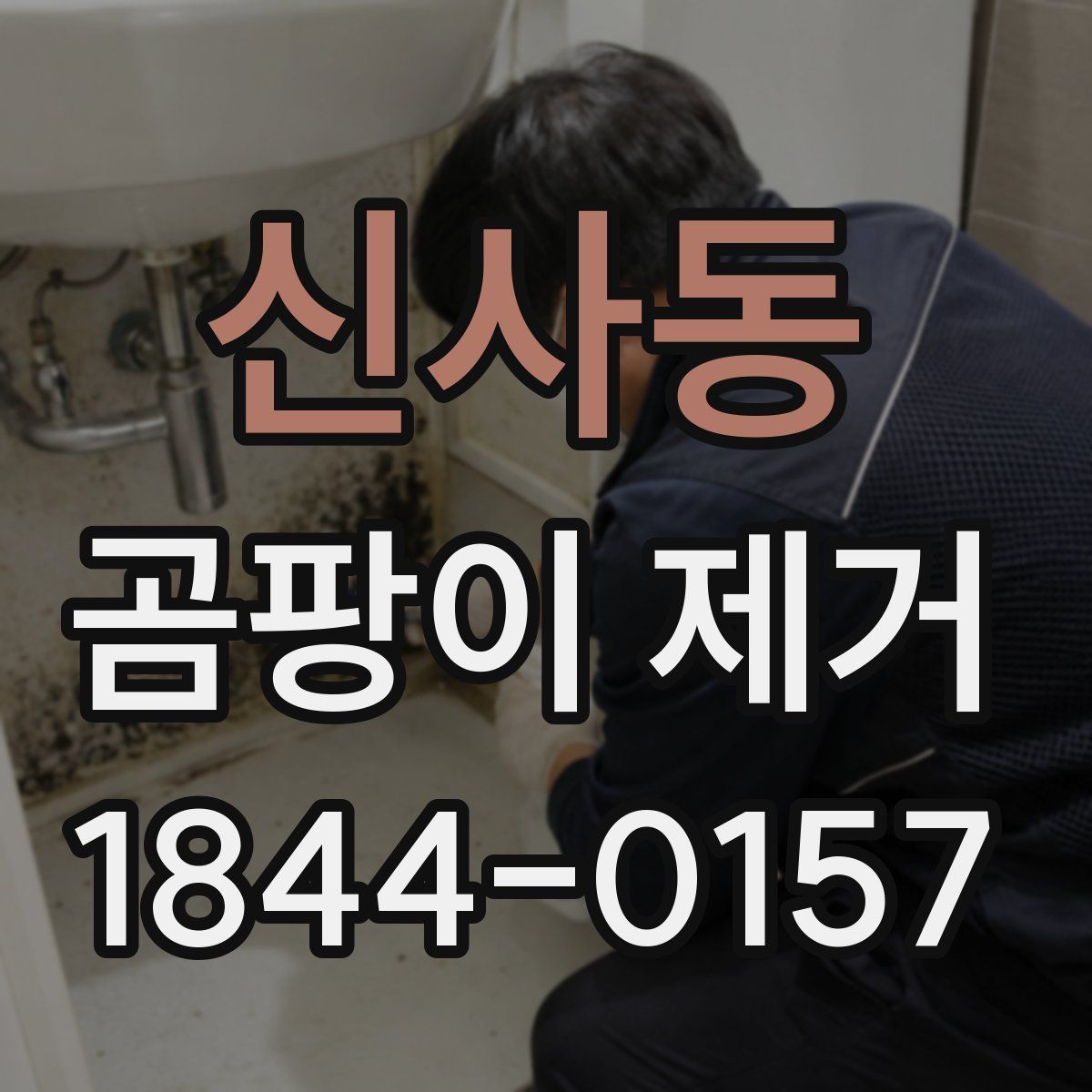 신사동 곰팡이 제거