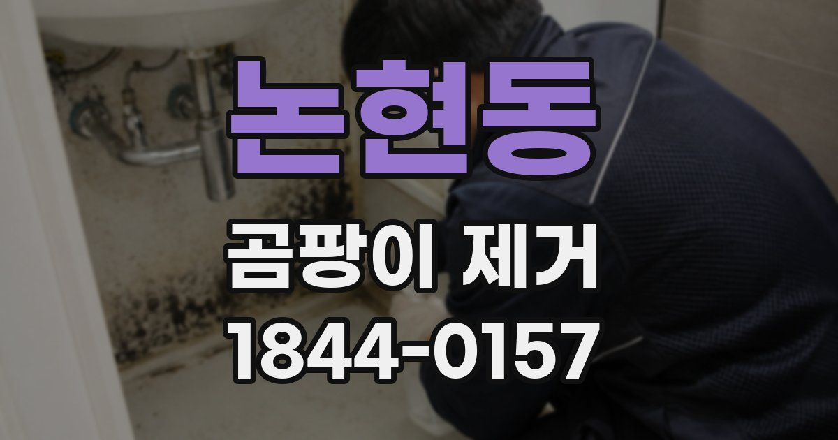 논현동 곰팡이 제거