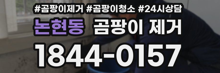 논현동 곰팡이 제거