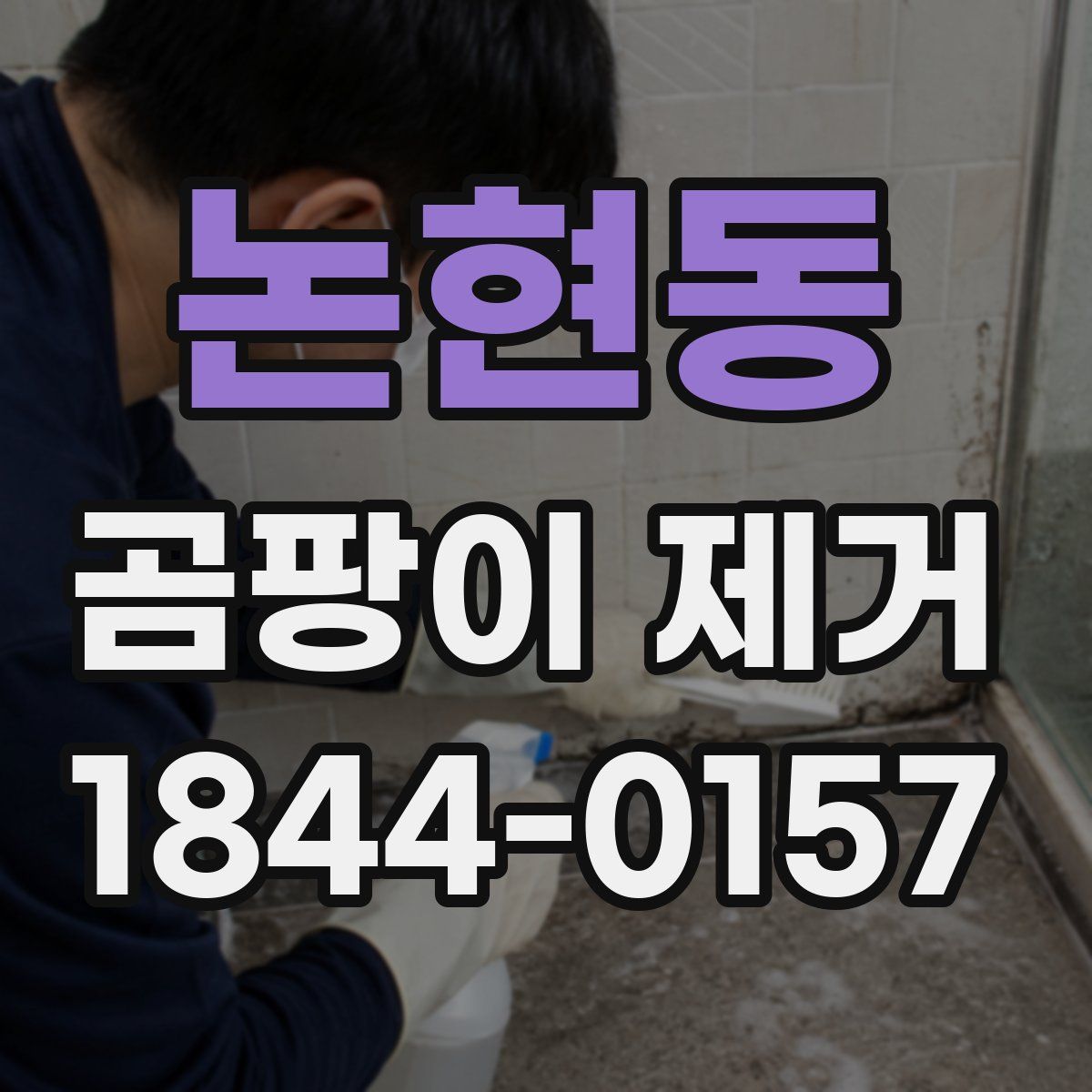 논현동 곰팡이 제거