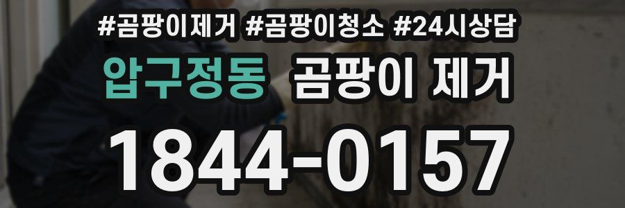 압구정동 곰팡이 제거