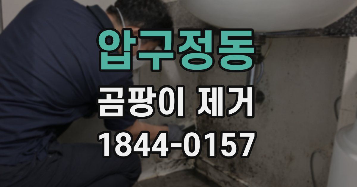 압구정동 곰팡이 제거