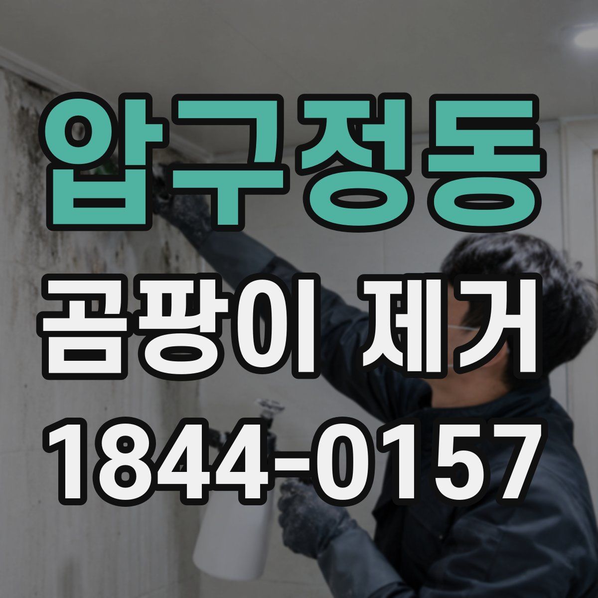 압구정동 곰팡이 제거