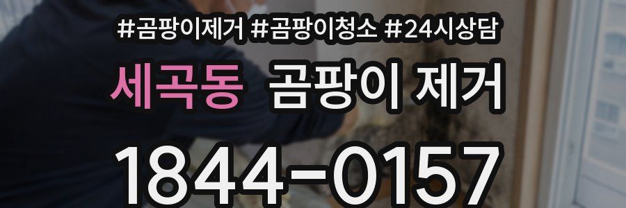 세곡동 곰팡이 제거