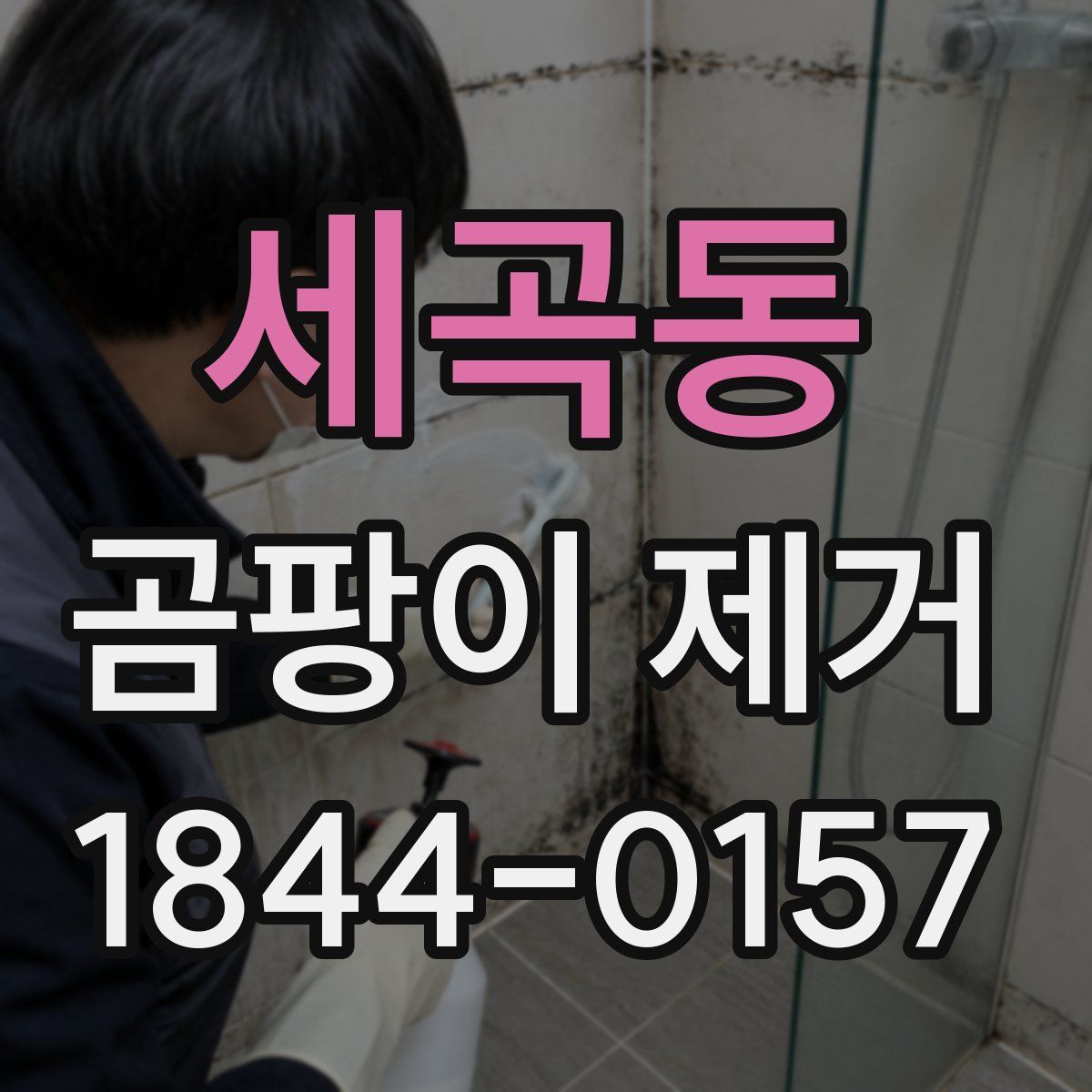 세곡동 곰팡이 제거