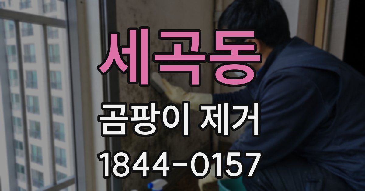 세곡동 곰팡이 제거
