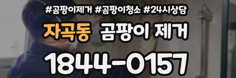 자곡동 곰팡이 제거