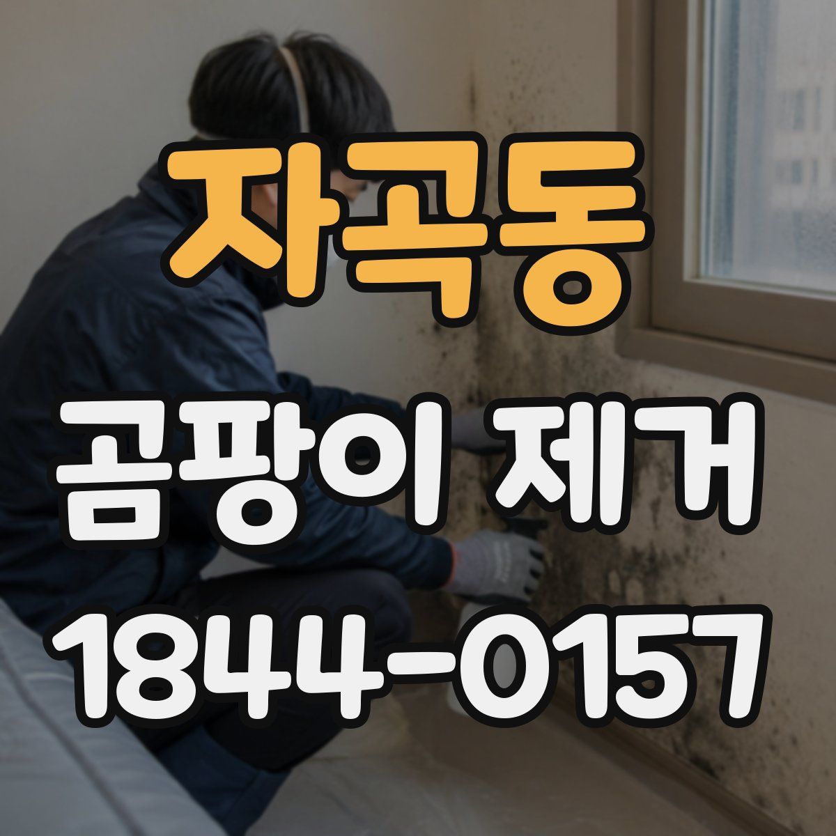 자곡동 곰팡이 제거