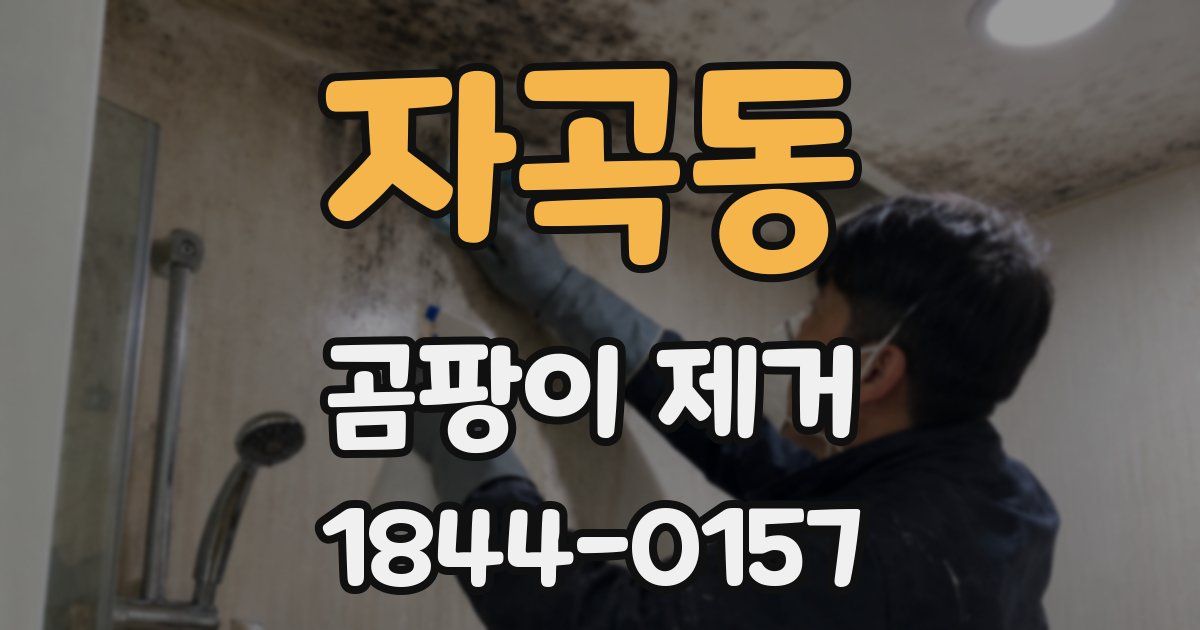 자곡동 곰팡이 제거