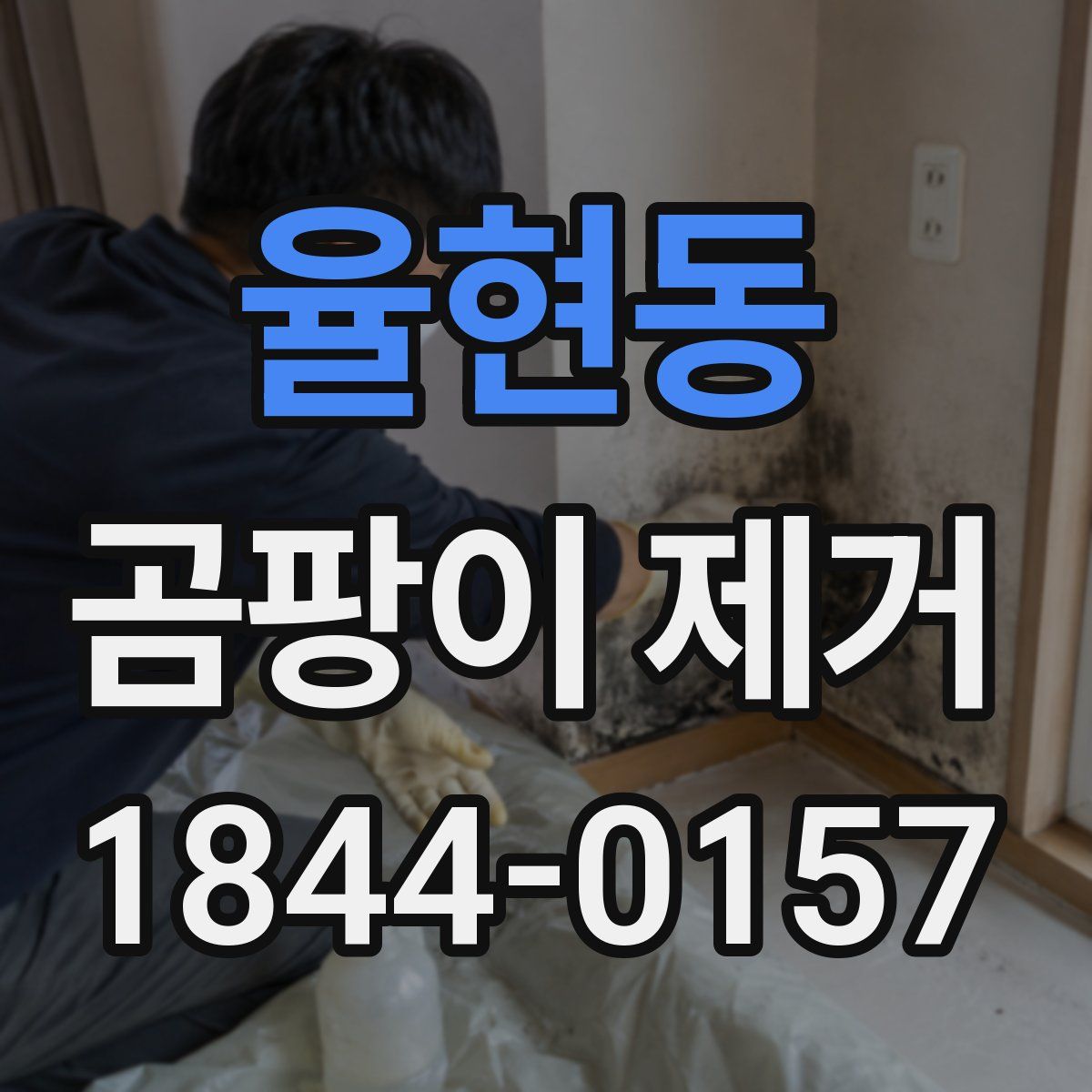 율현동 곰팡이 제거