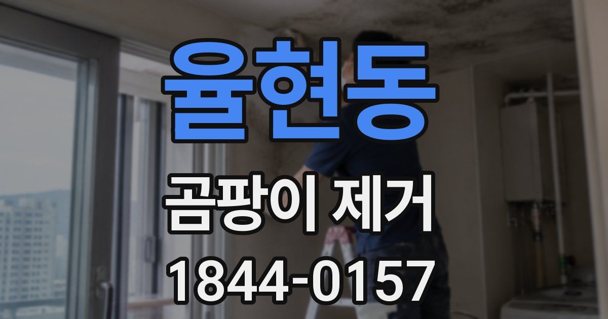 율현동 곰팡이 제거
